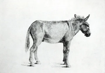 Ezel 1766